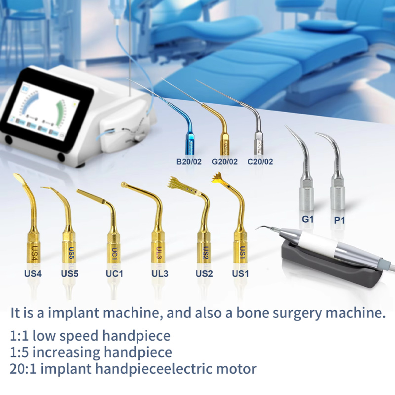 Wire Basket Wire Basket